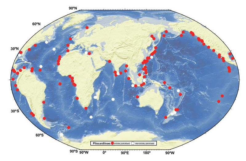 Hydrothermal and methane discharges in the World Ocean. Regions with specific fauna.West Pacific, North-East Pacific, East Pacific, the Atlantic and Indian Oceans Hydrothermal and methane discharges in the World Ocean