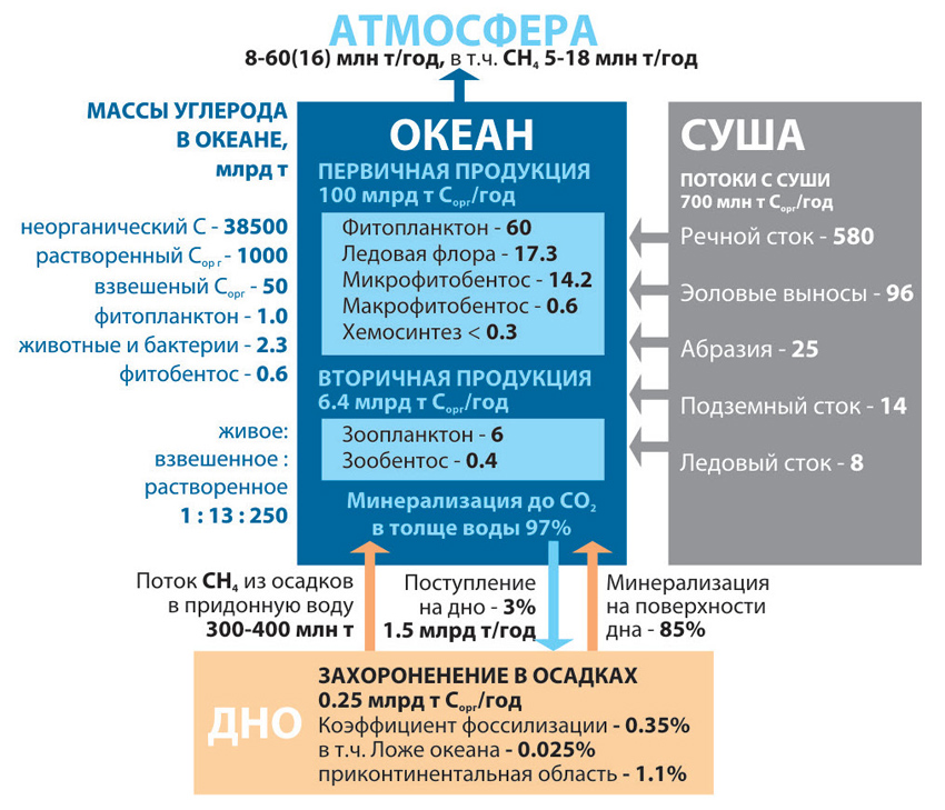 Carbon cycle in the World Ocean. Fluxes and masses