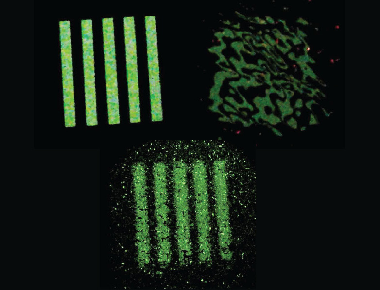 Images of an underwater test object in an experiment on a laboratory setup: undistorted (left), distorted by excitement, instantaneous (right) and reconstructed Images of an underwater test object in an experiment on a laboratory setup: undistorted (left), distorted by excitement, instantaneous (right) and reconstructed