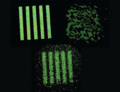 Images of an underwater test object in an experiment on a laboratory setup: undistorted (left), distorted by excitement, instantaneous (right) and reconstructed