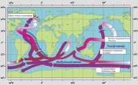 Group of Climate Variability Model for Oceans and Seas Group of Climate Variability Model for Oceans and Seas