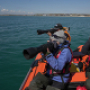 Scientists are resuming dolphin research in the Black Sea