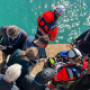 The Institute of Oceanology of RAS discussed the practical applications of inspecting the underwater parts of ships