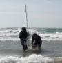 The Institute of Oceanology of the Russian Academy of Sciences conducted the first expedition to study the consequences of the fuel oil spill in the Black Sea