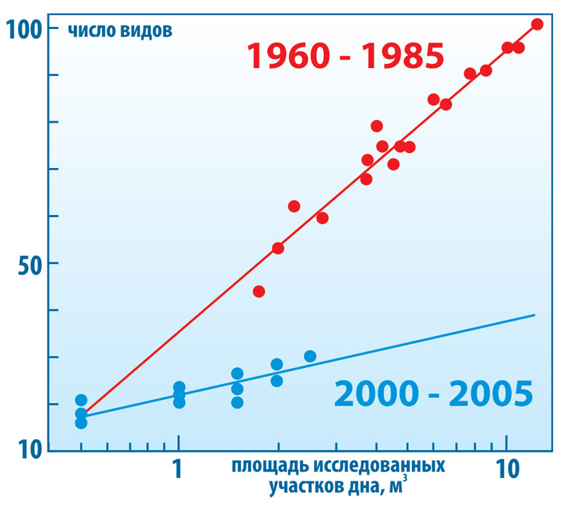 Падение биоразнообразия прибрежных донных сообществ
Черного моря после вселения гребневика Mnemiopsis leidyi