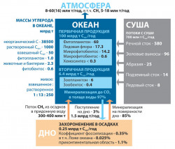 Цикл углерода в Мировом океане. Потоки и массы