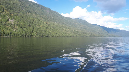 image1