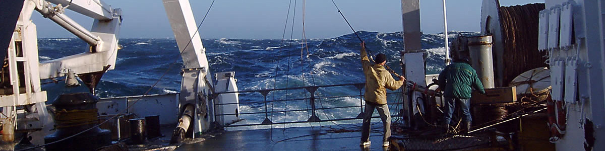 pic9.jpg