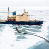 Лед и планы: в Арктику отправится российско-китайская экспедиция