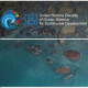 Десятилетие, посвященное наукам об океане в интересах устойчивого развития
