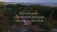Путешествие с белыми китами с запада на восток