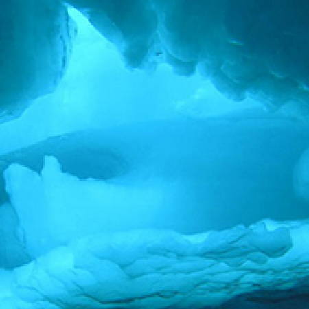 Ледовитый океан дно. Дно Северного Ледовитого океана. Северный Ледовитый океан подо льдом. Северный Ледовитый океан под водой. Арктика океан.