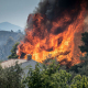 Ученые назвали причину лесных пожаров и наводнений этого года